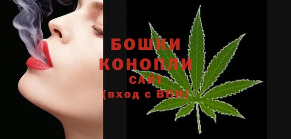 сатива Беломорск