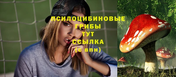 дживик Белокуриха
