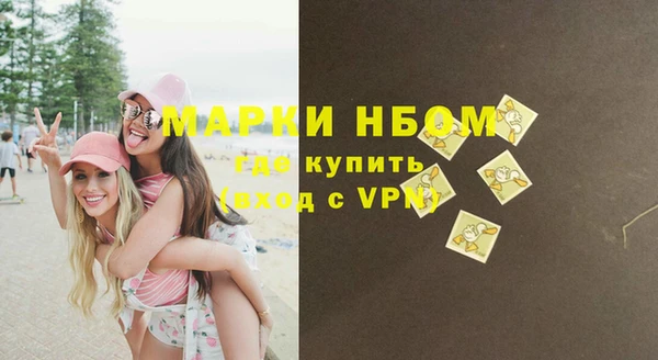 сатива Беломорск