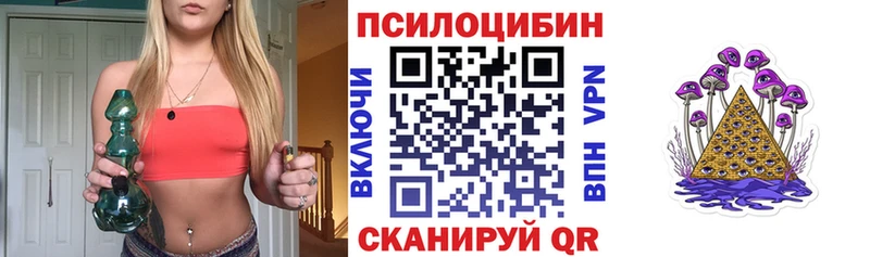 Псилоцибиновые грибы Psilocybine cubensis  как найти наркотики  Болотное 